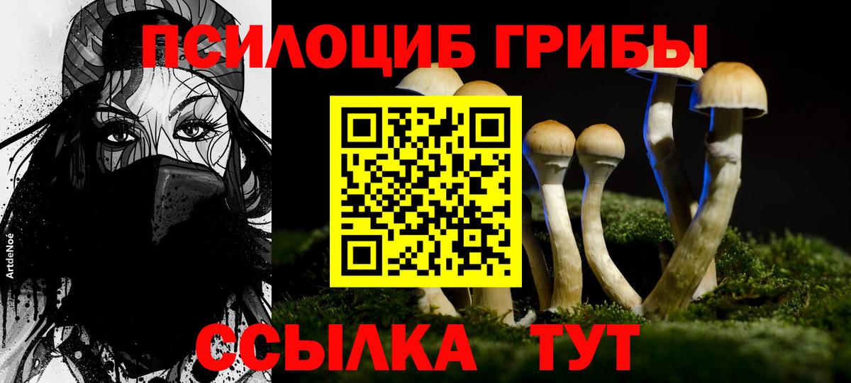Арзамас  Псилоцибиновые грибы GOLDEN TEACHER  Вход с VPN 